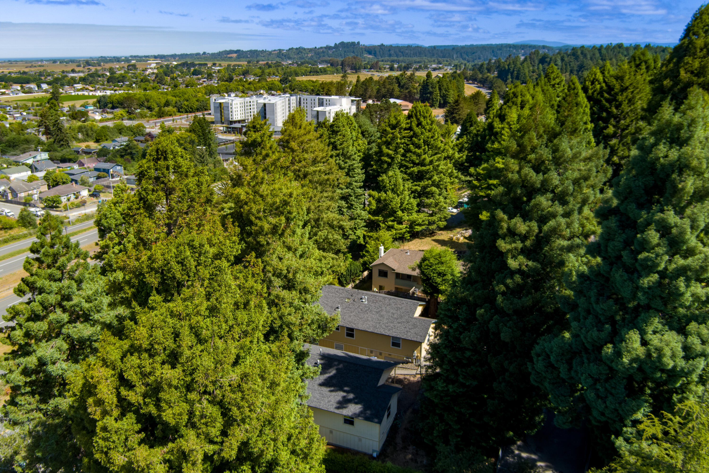 377 Evergreen Avenue