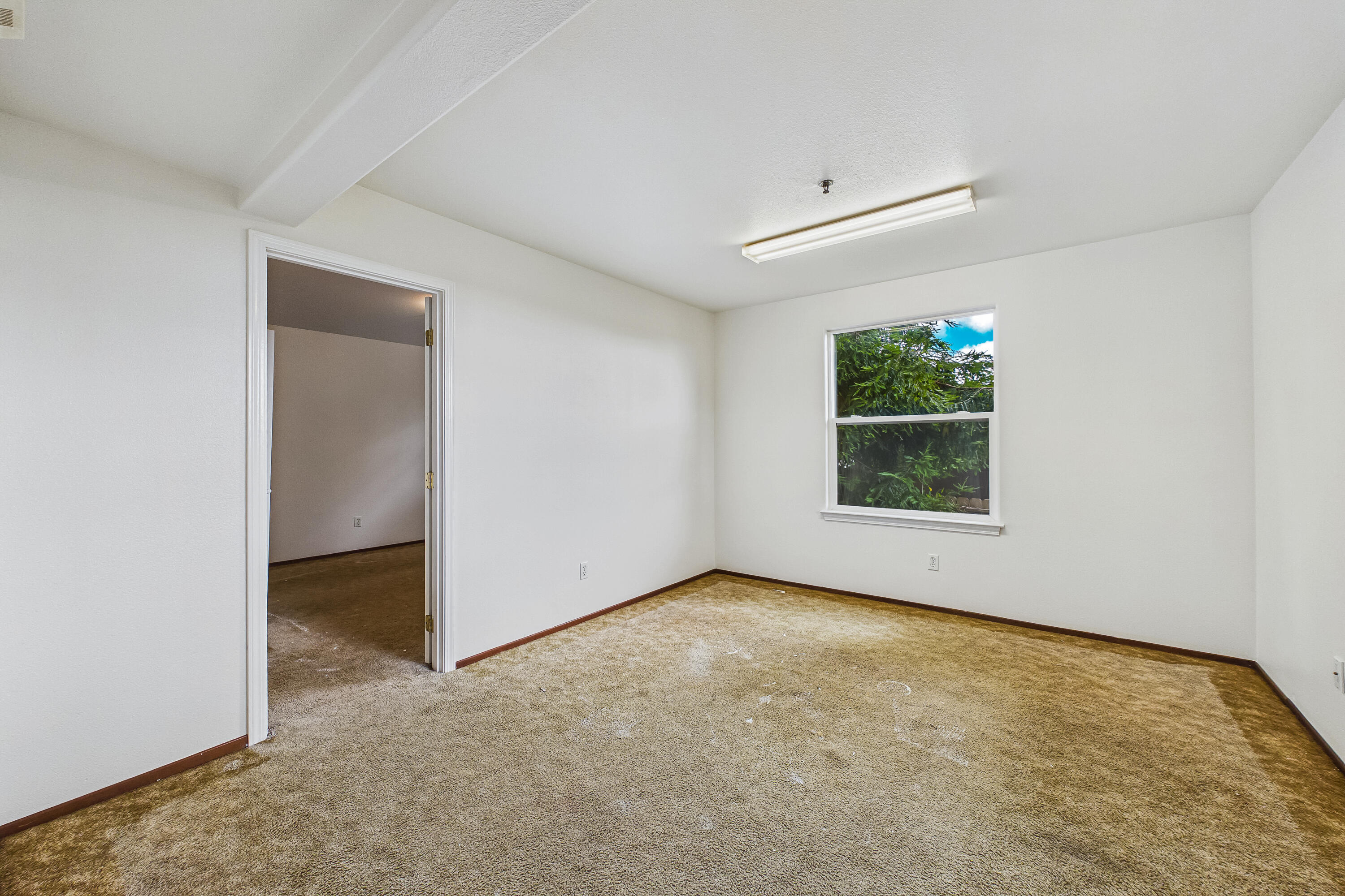 345 Evergreen Avenue