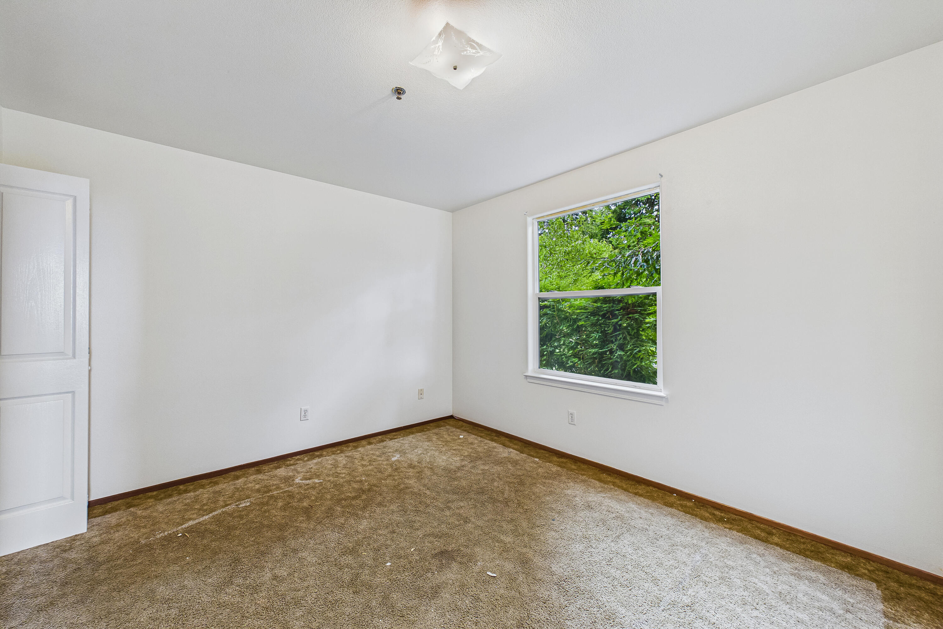345 Evergreen Avenue