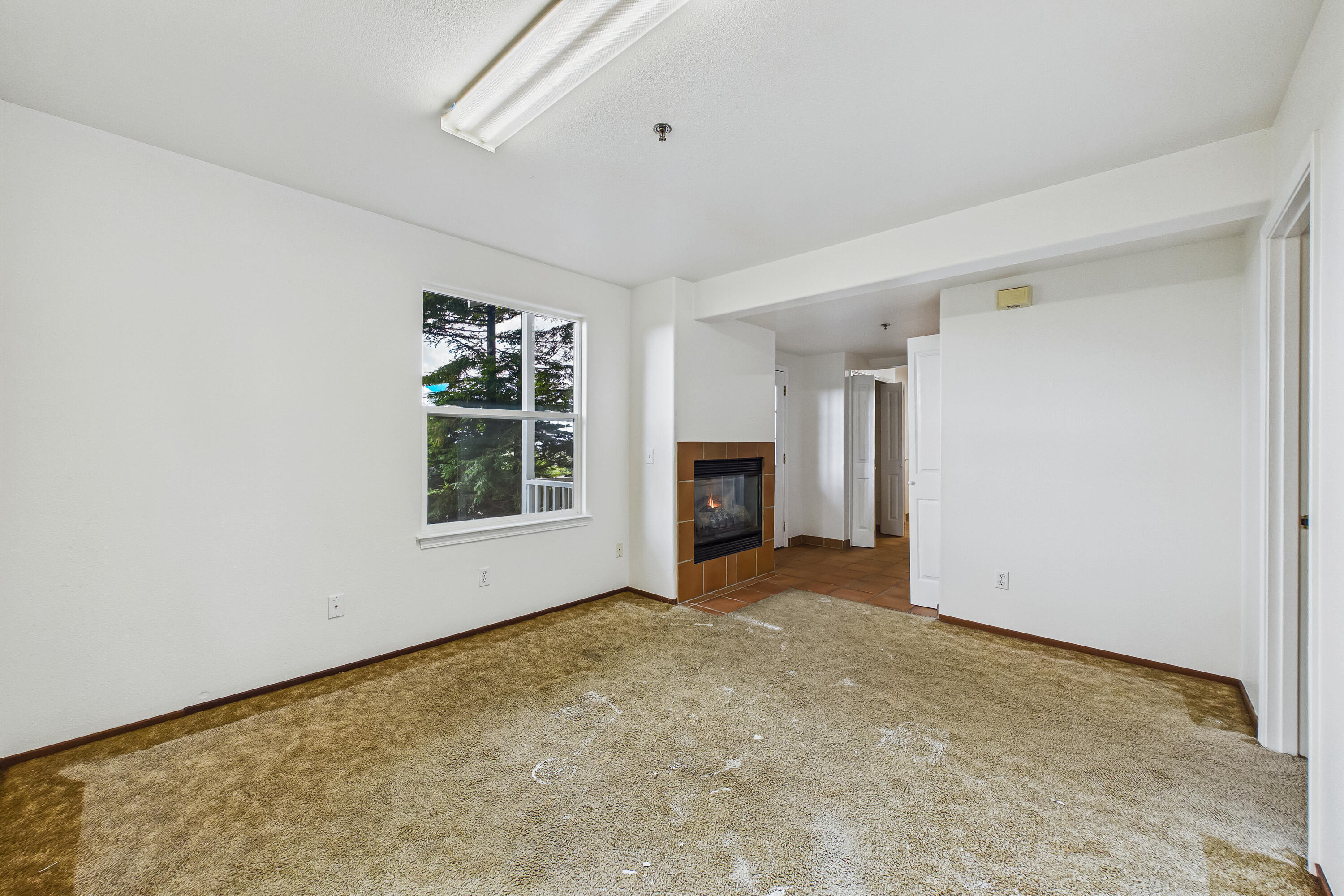 345 Evergreen Avenue