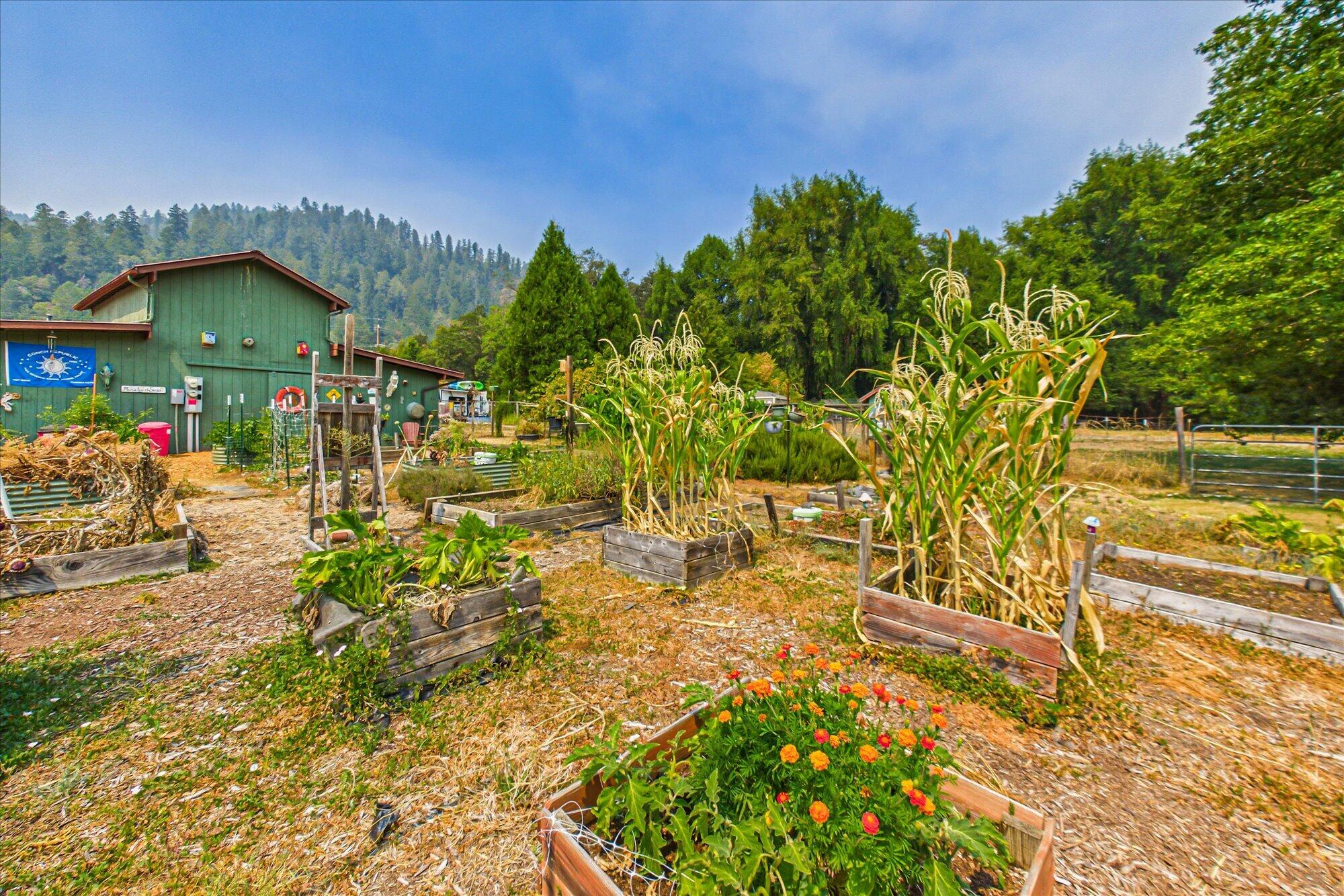 1735 Highway 96