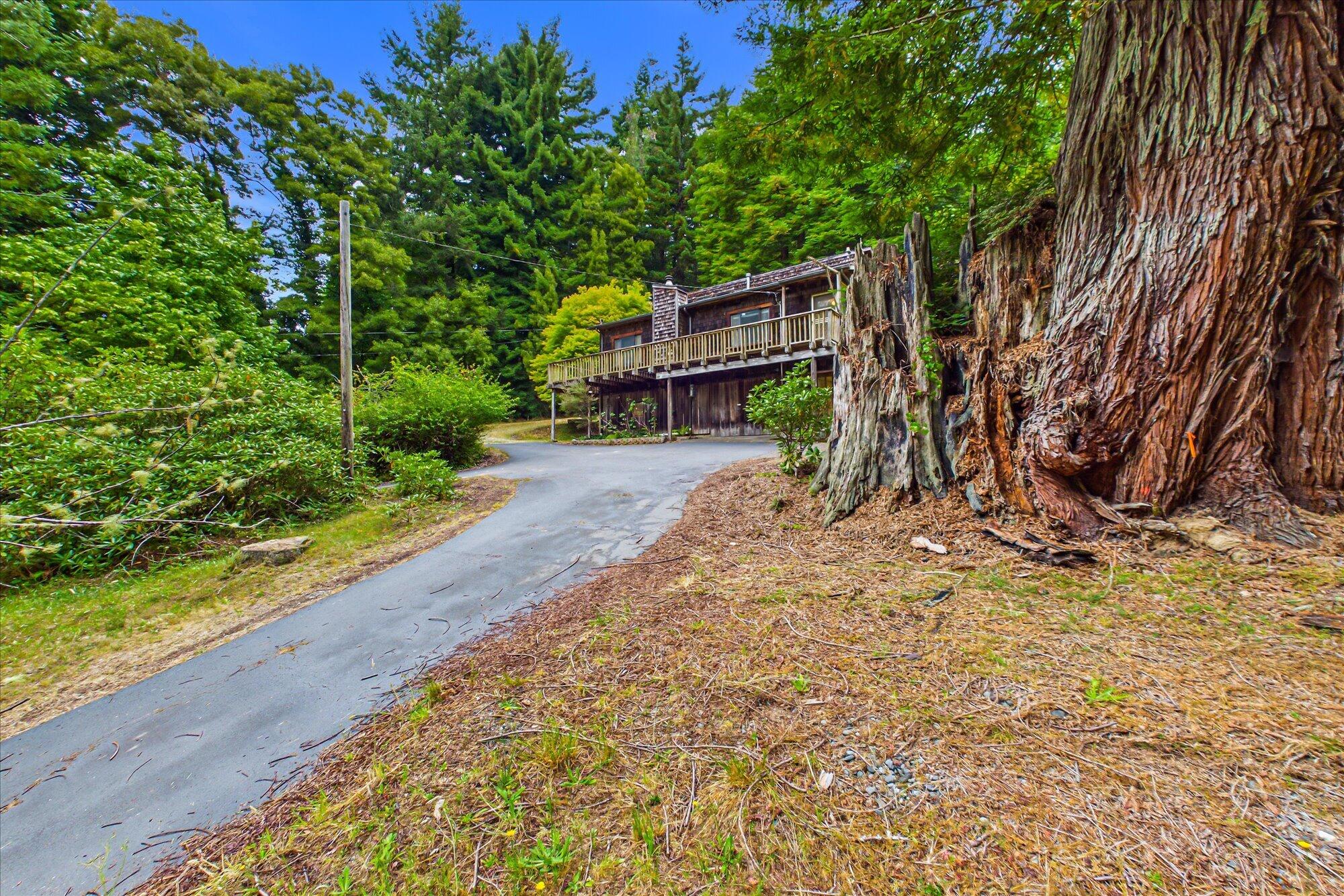 3045 Pigeon Point Road