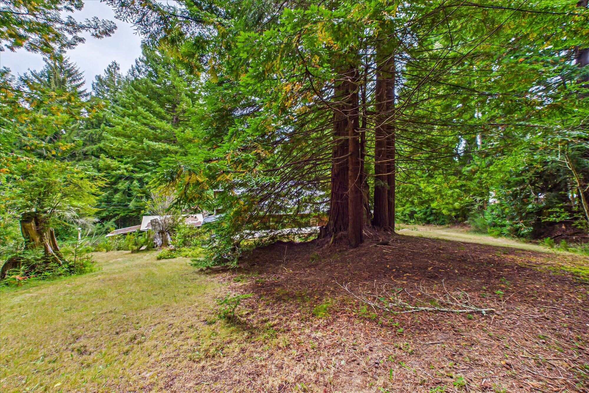 3045 Pigeon Point Road