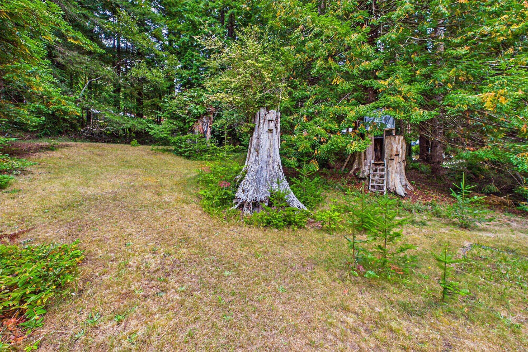3045 Pigeon Point Road