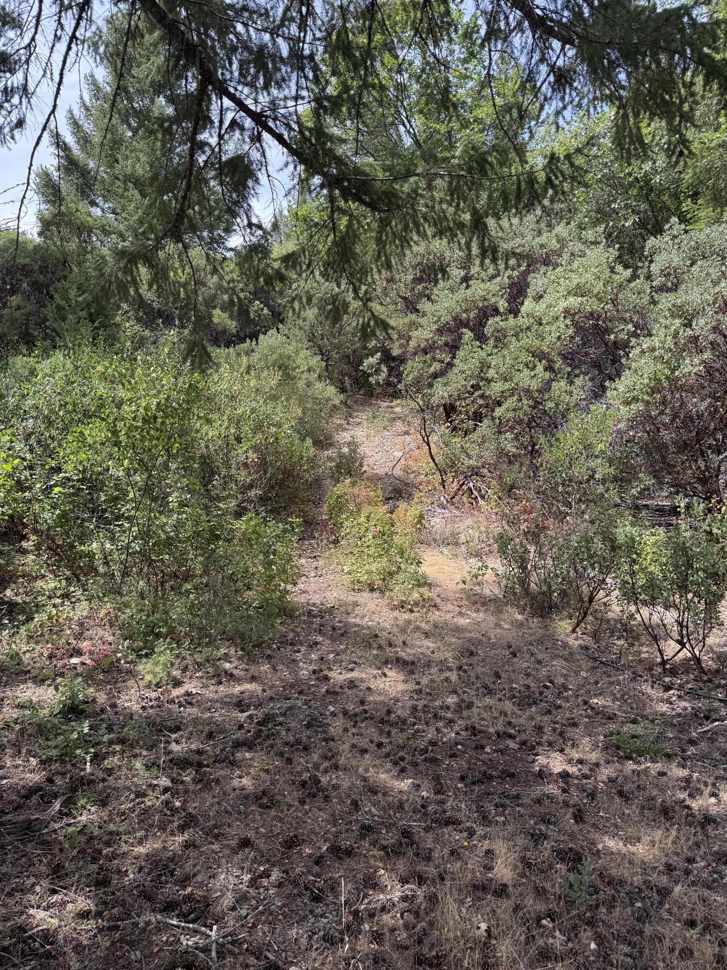 331 Lamb Creek Road