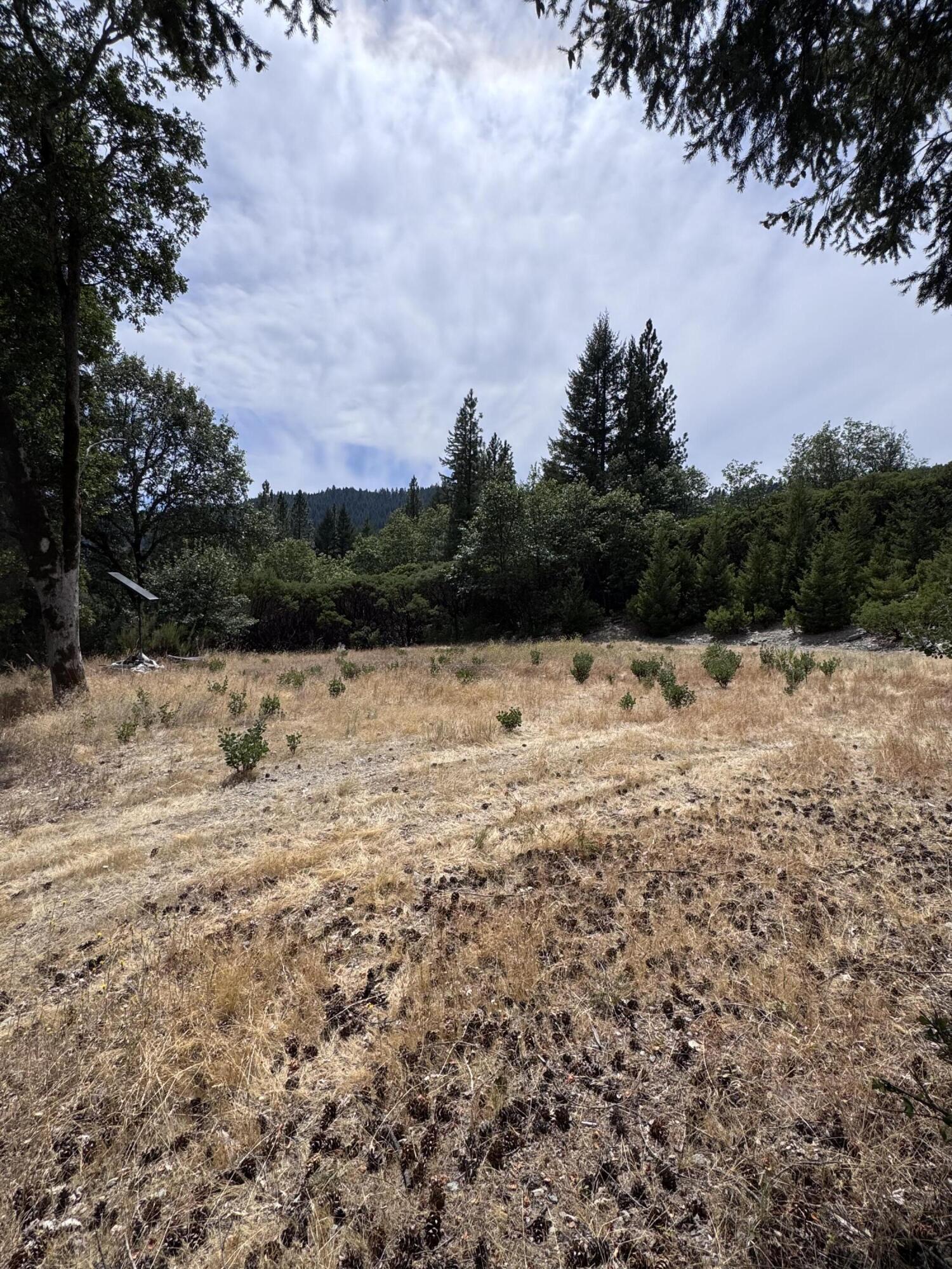 331 Lamb Creek Road