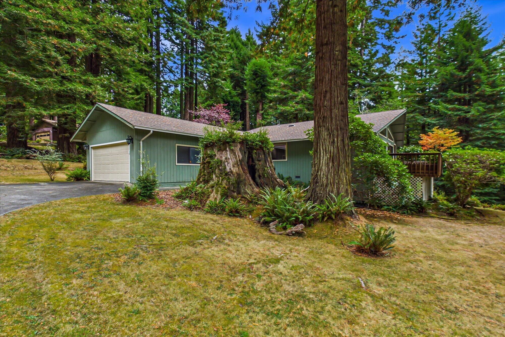 Green single-story home among redwoods, with a large stump and ferns in the front yard.