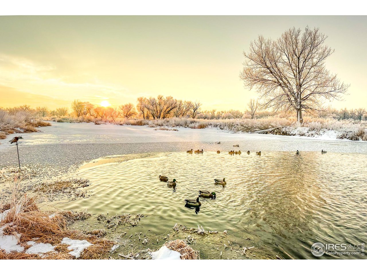 27446 County Road 388