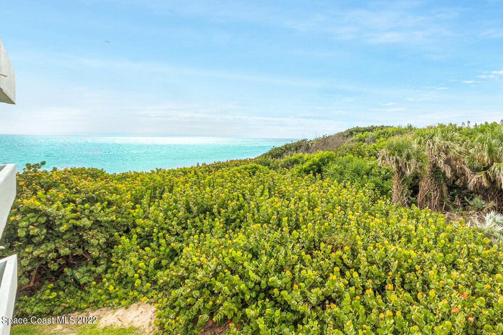 6355 S Highway A1a, 5