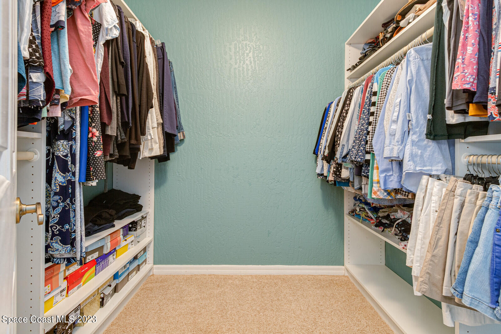 100 Woods South Drive