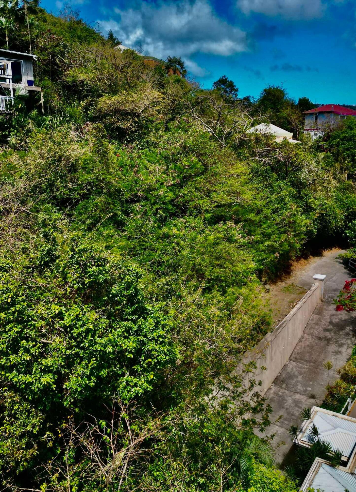10-25 REM Carolina, St John