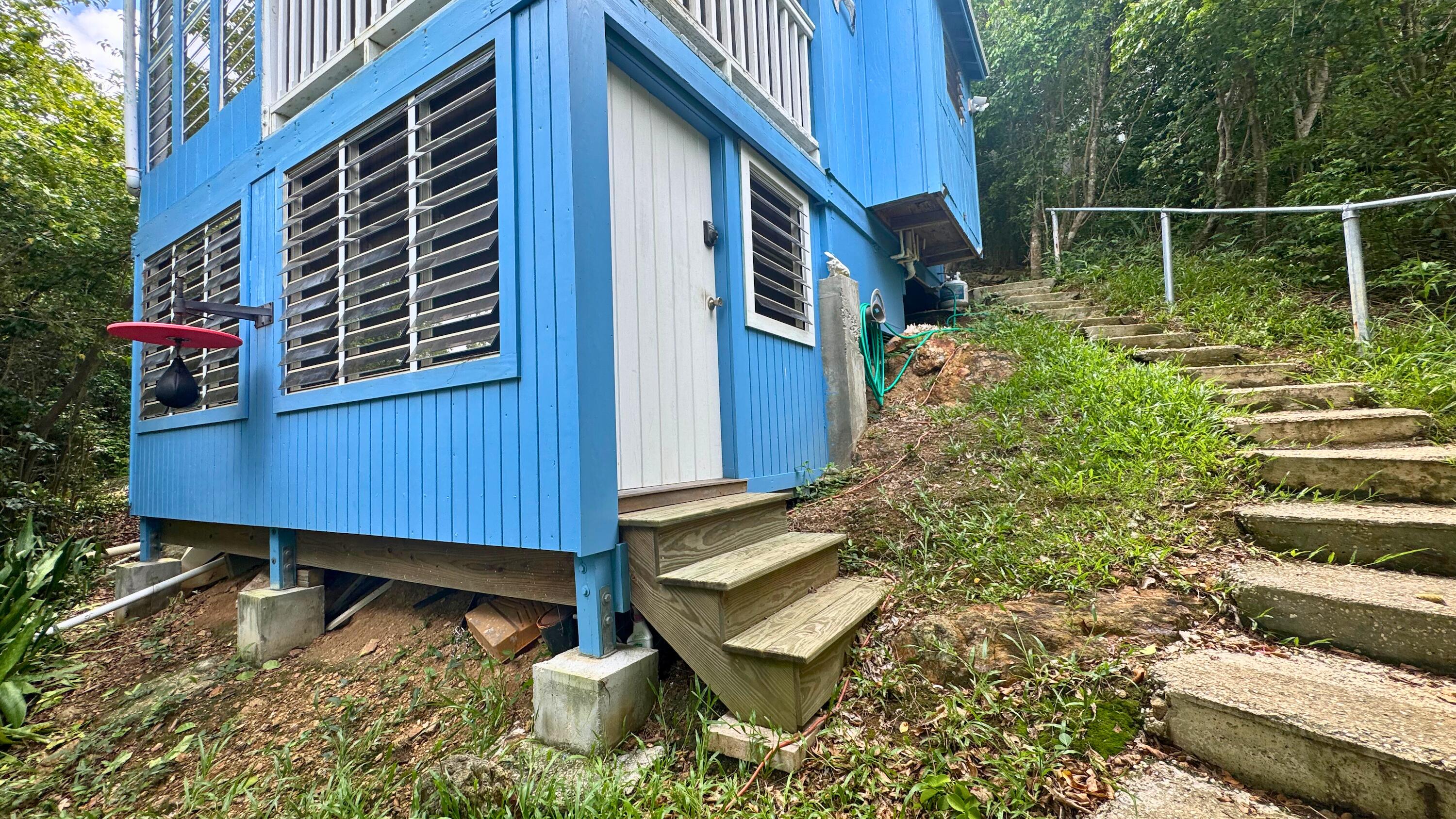 Blue elevated house with louvered windows and stone steps climbing through the wooded hillside.
