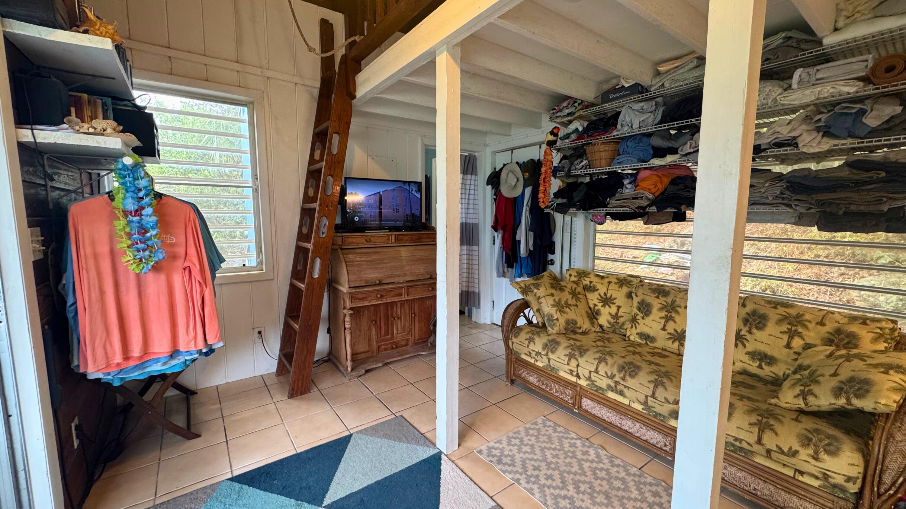 Storage room with open clothing shelves, a wooden loft ladder, and a palm-patterned sofa.