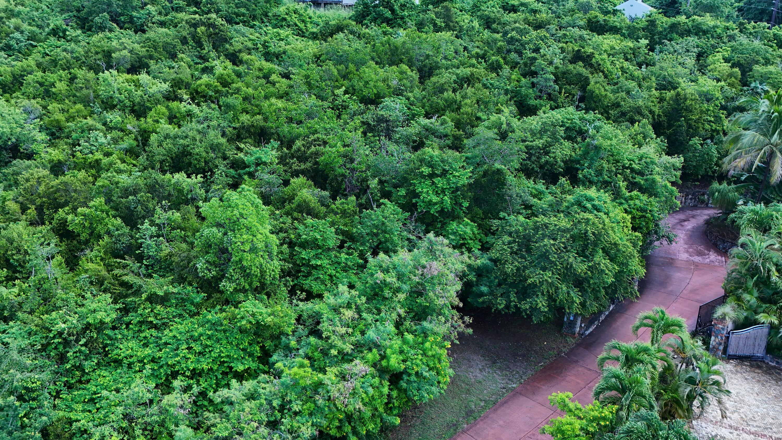 4-72 Sans Soucci & Guinea Gut, St John