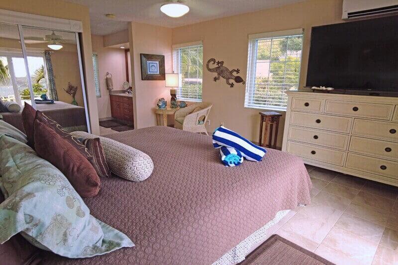 3B-60 Sans Soucci & Guinea Gut, St John