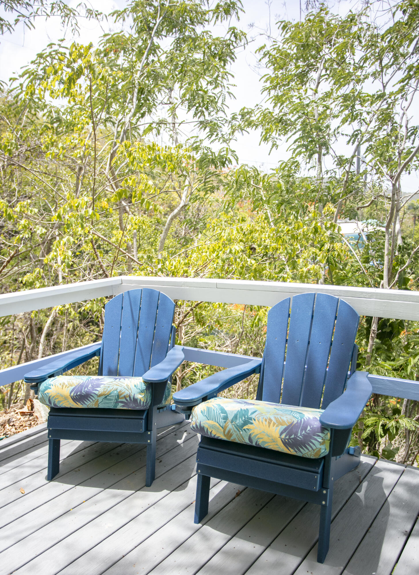 10-26-5REM Carolina, St John