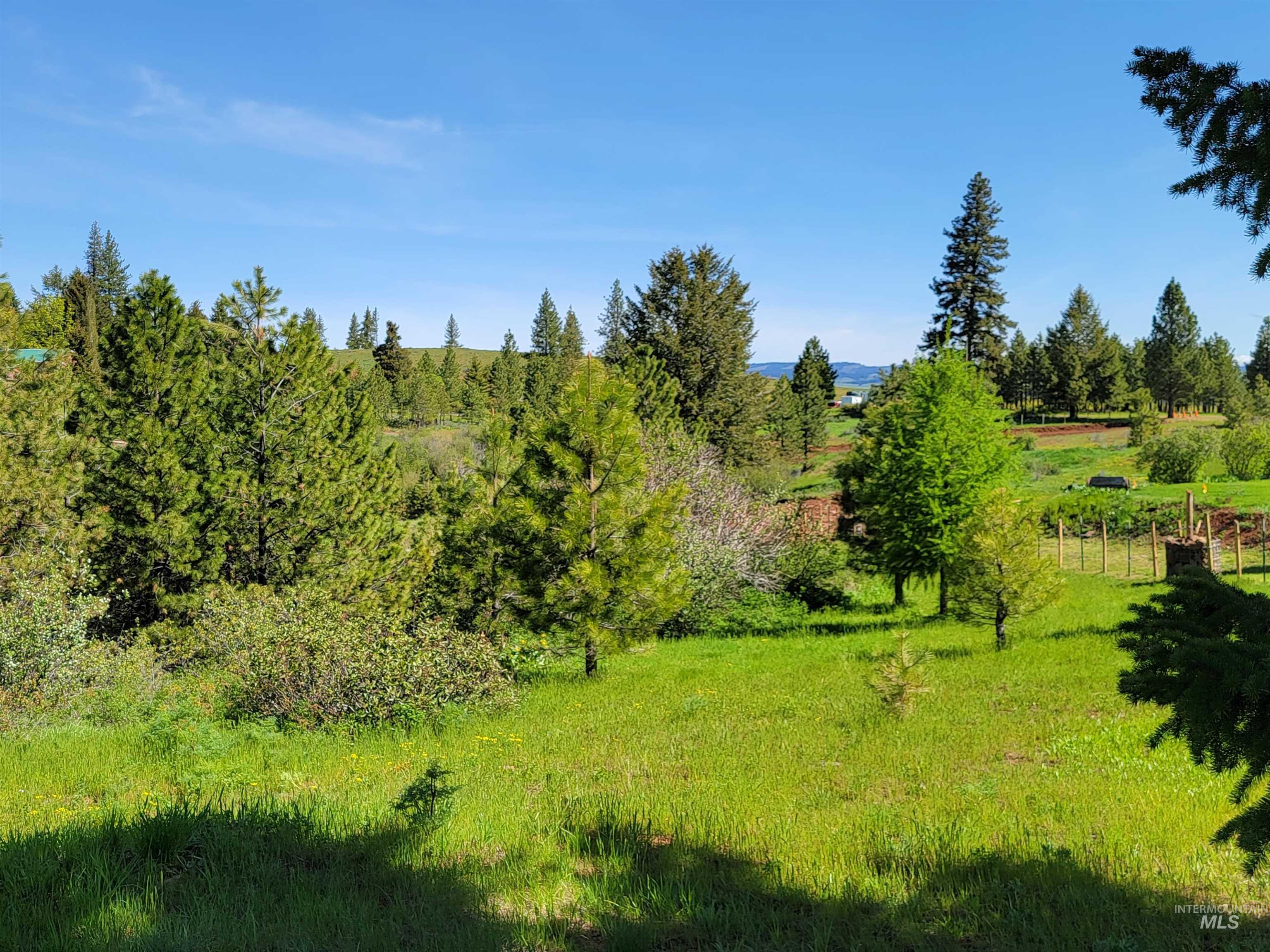 1872 Pole Creek