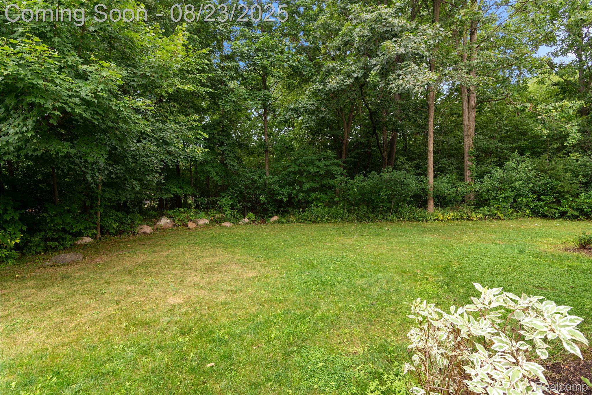 2234 Emeraldwood Trail