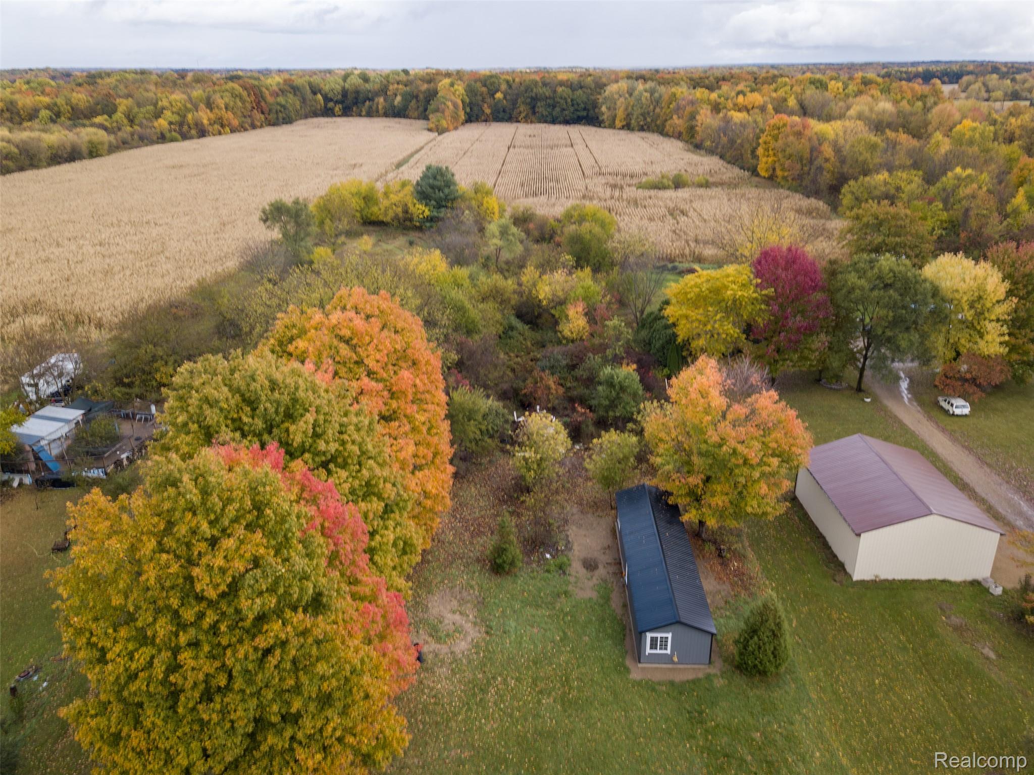 66301 County Road 681
