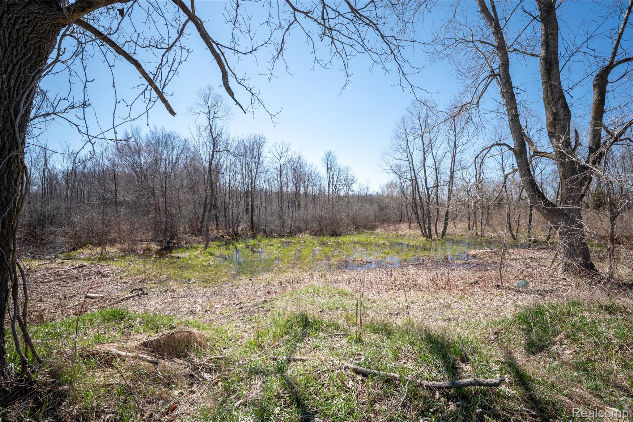 825 W Rose Center Road