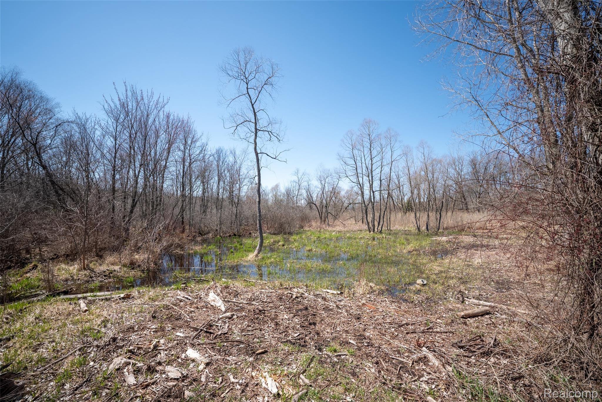 825 W Rose Center Road