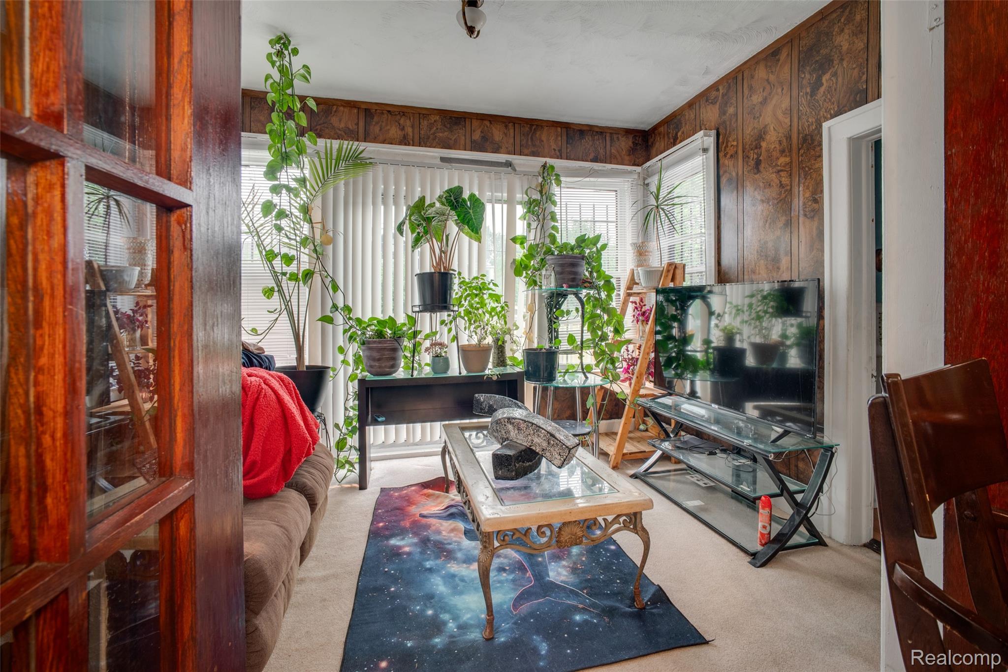 123 Moss Street
