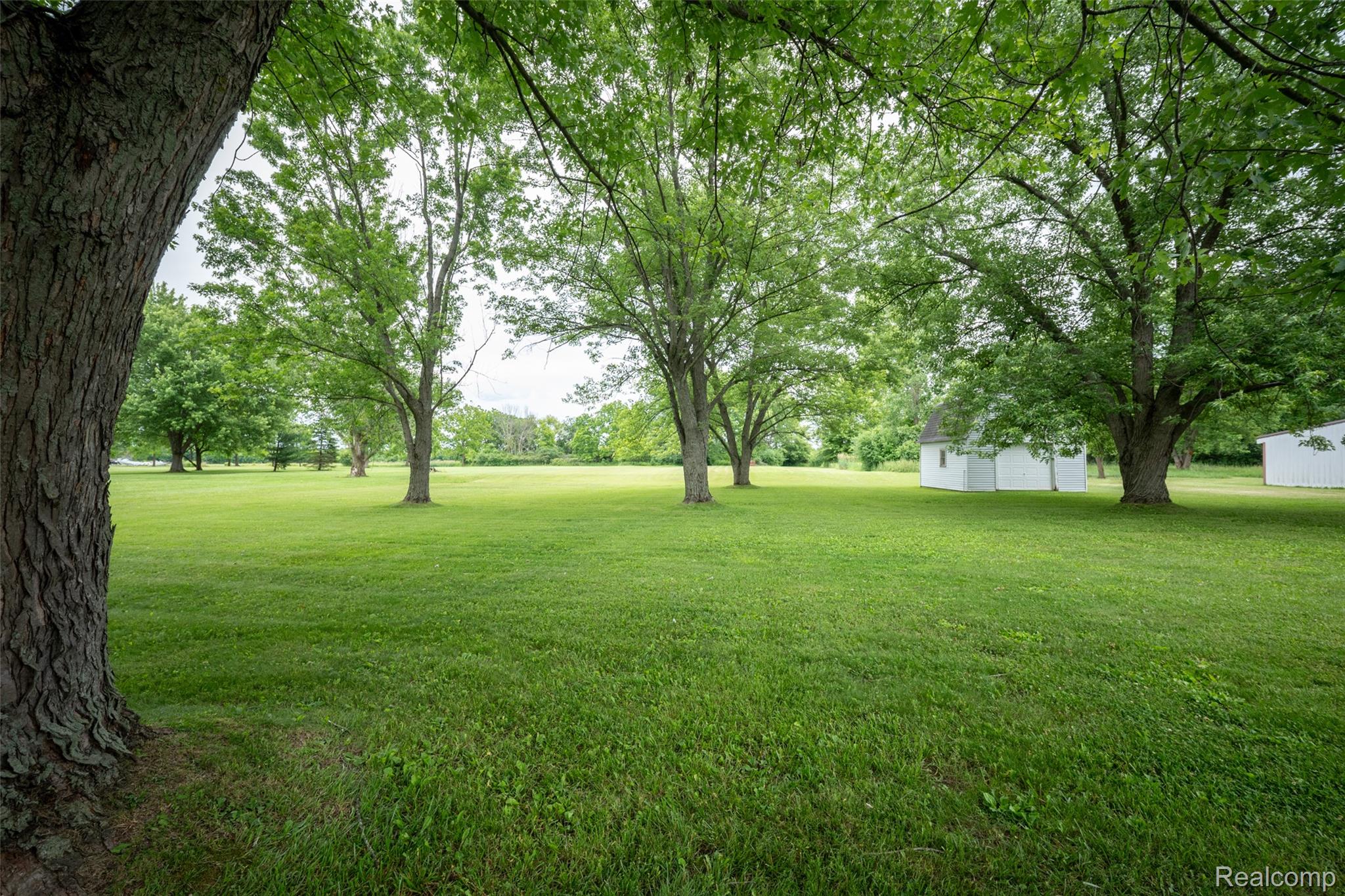 10086 N Lewis Road