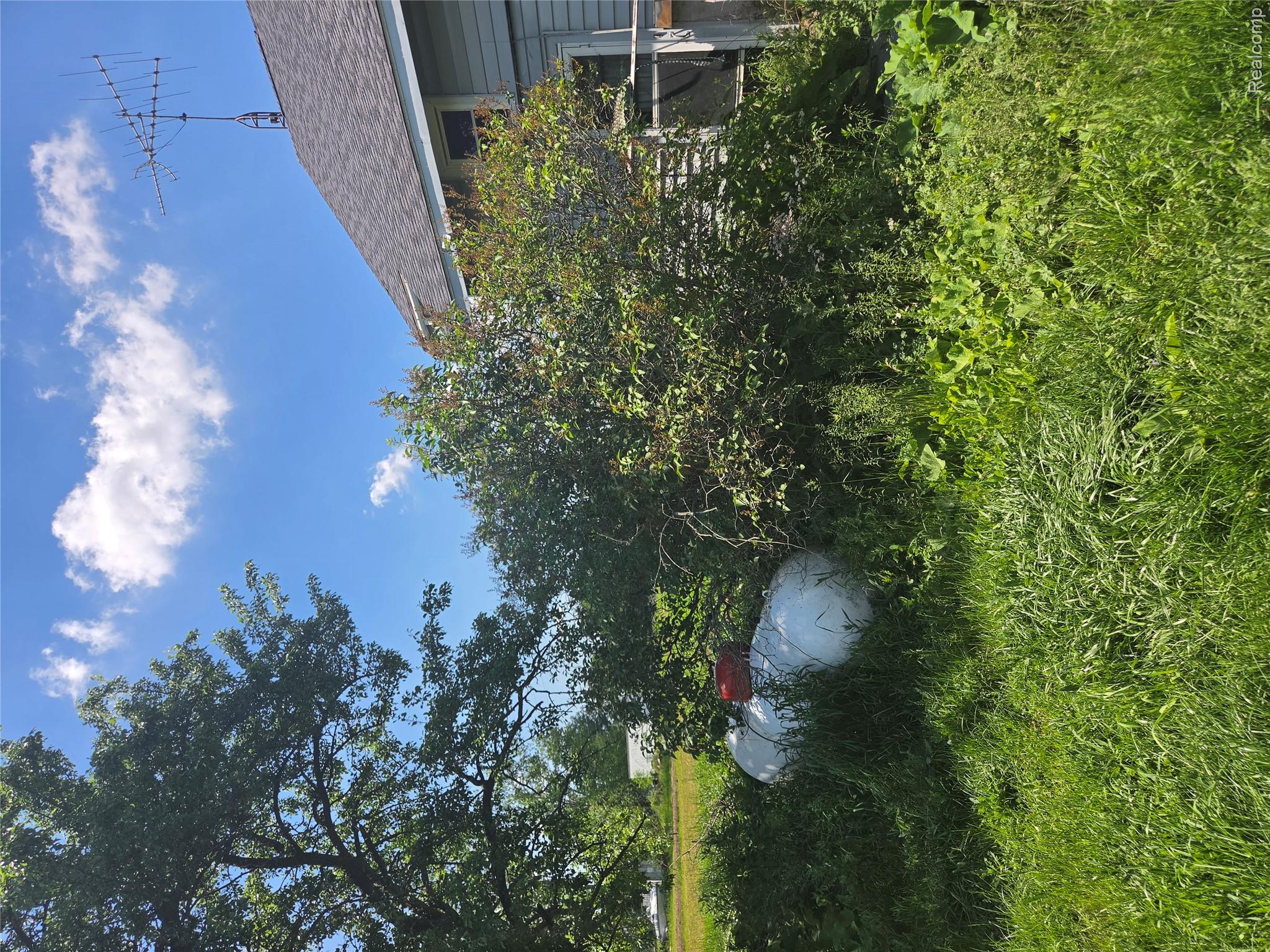 2101 Mushroom Road