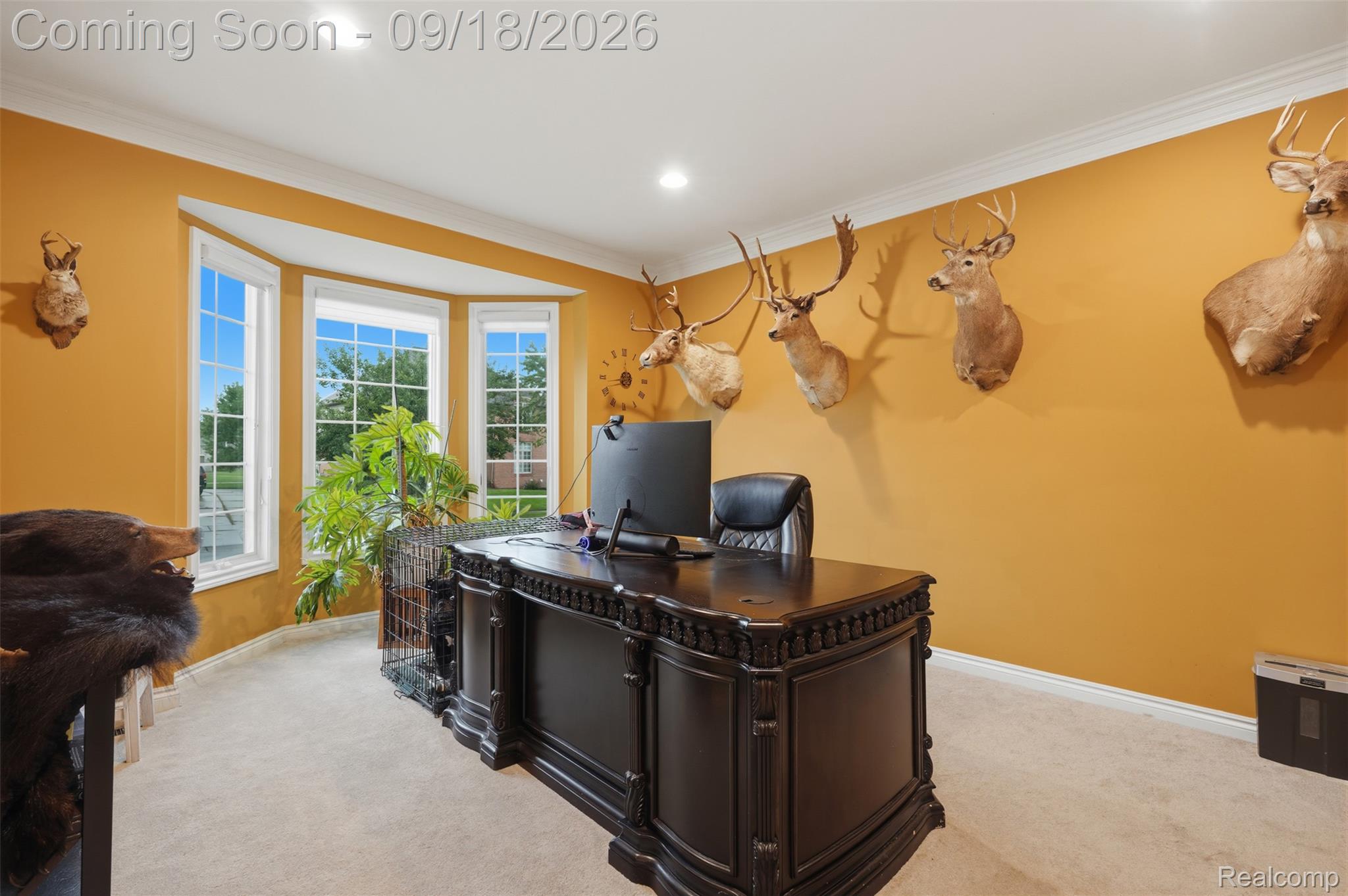49335 Dominion Court