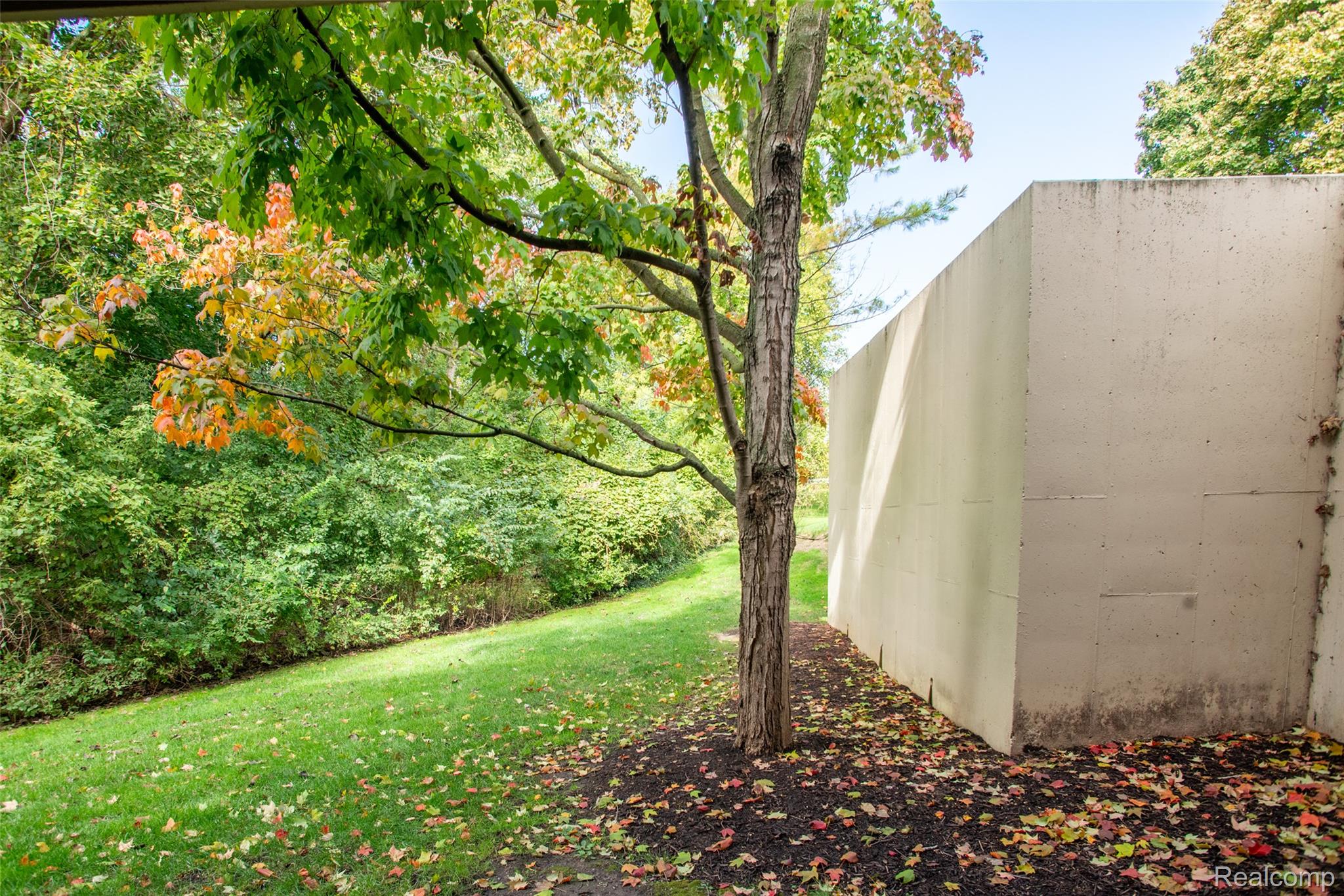 3925 Lone Pine Road Unit: 100