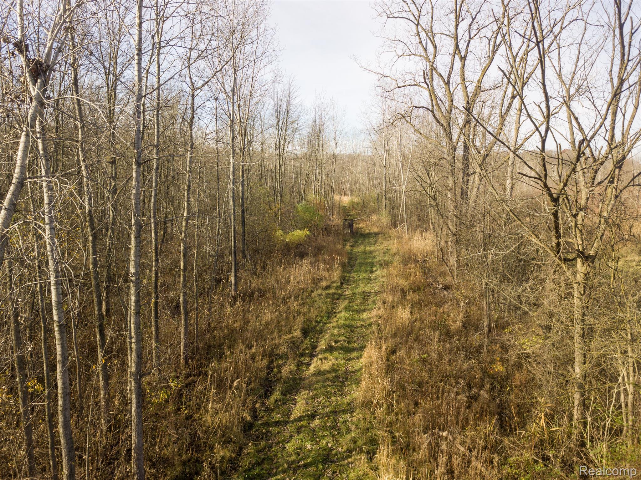 00 S FOREST