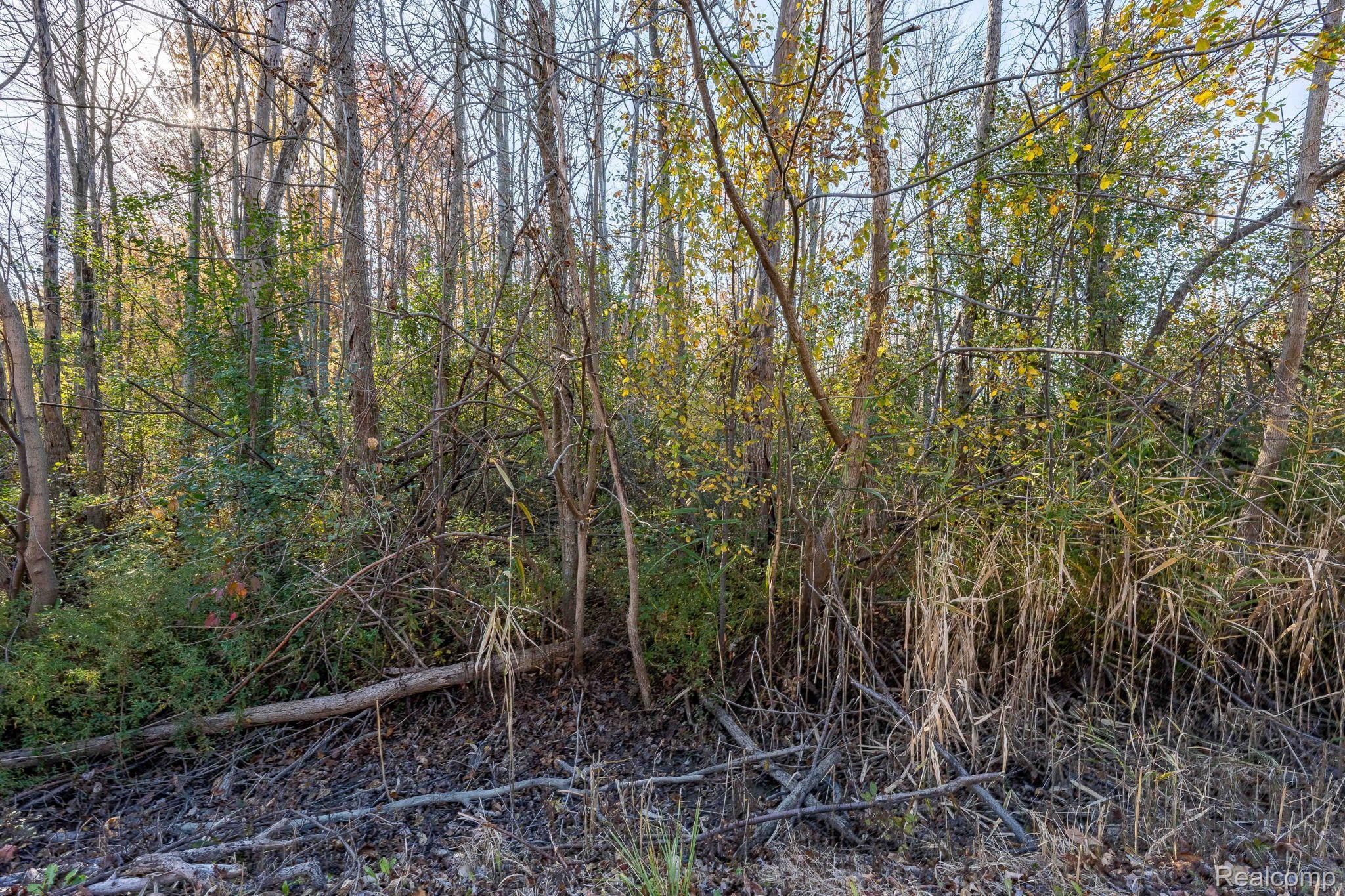 00 S FOREST