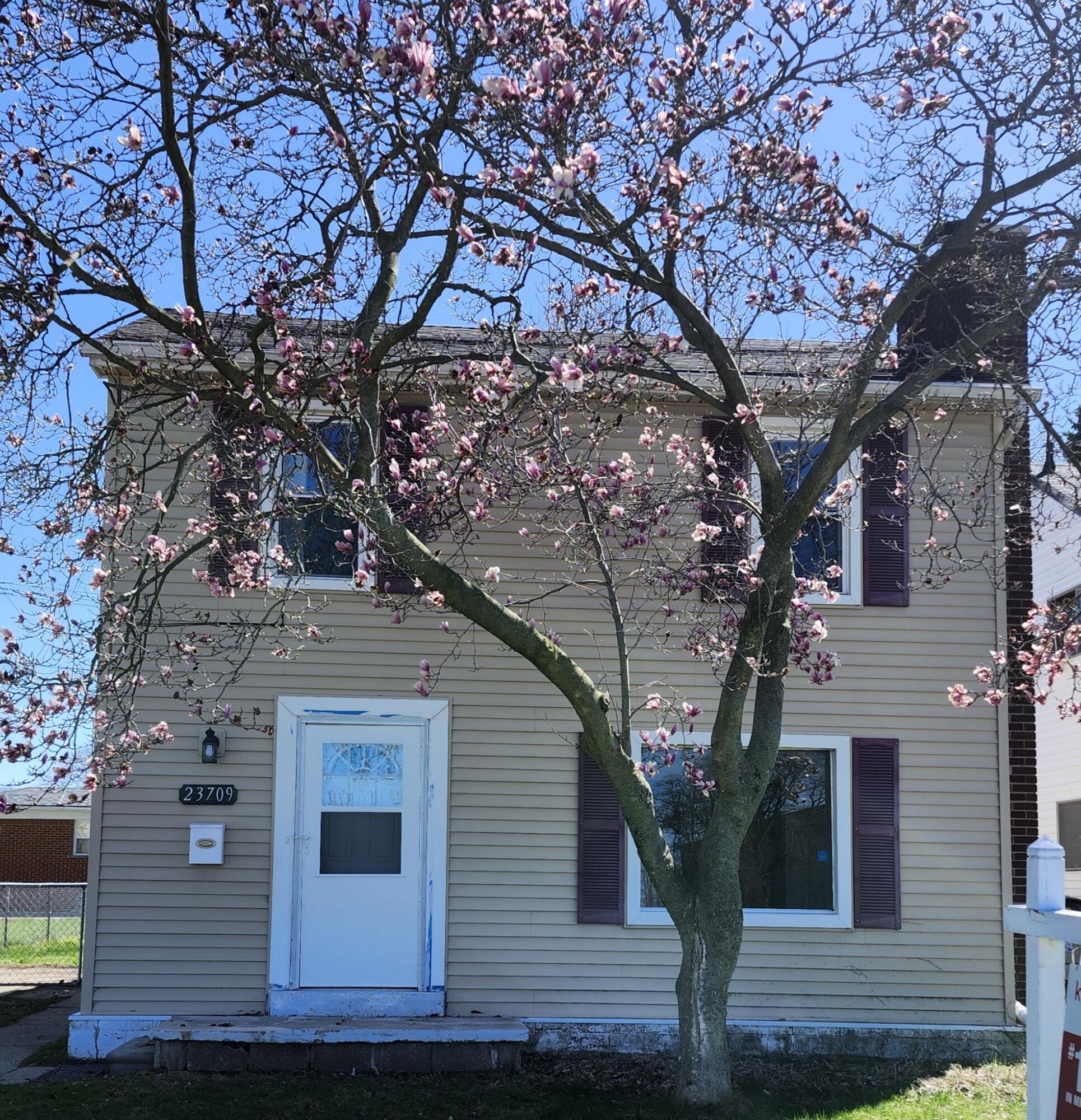 23709 W Chicago