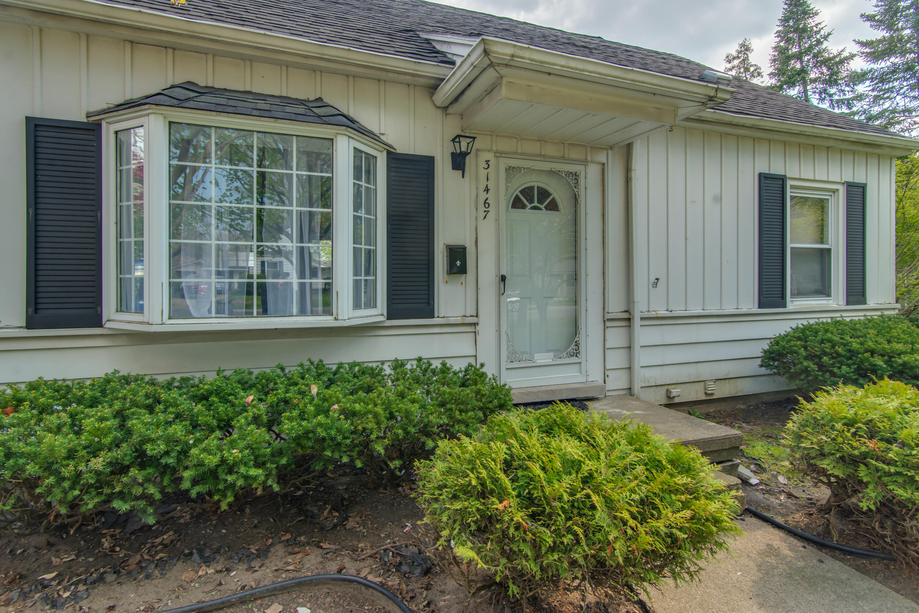 31467 Alvin Street