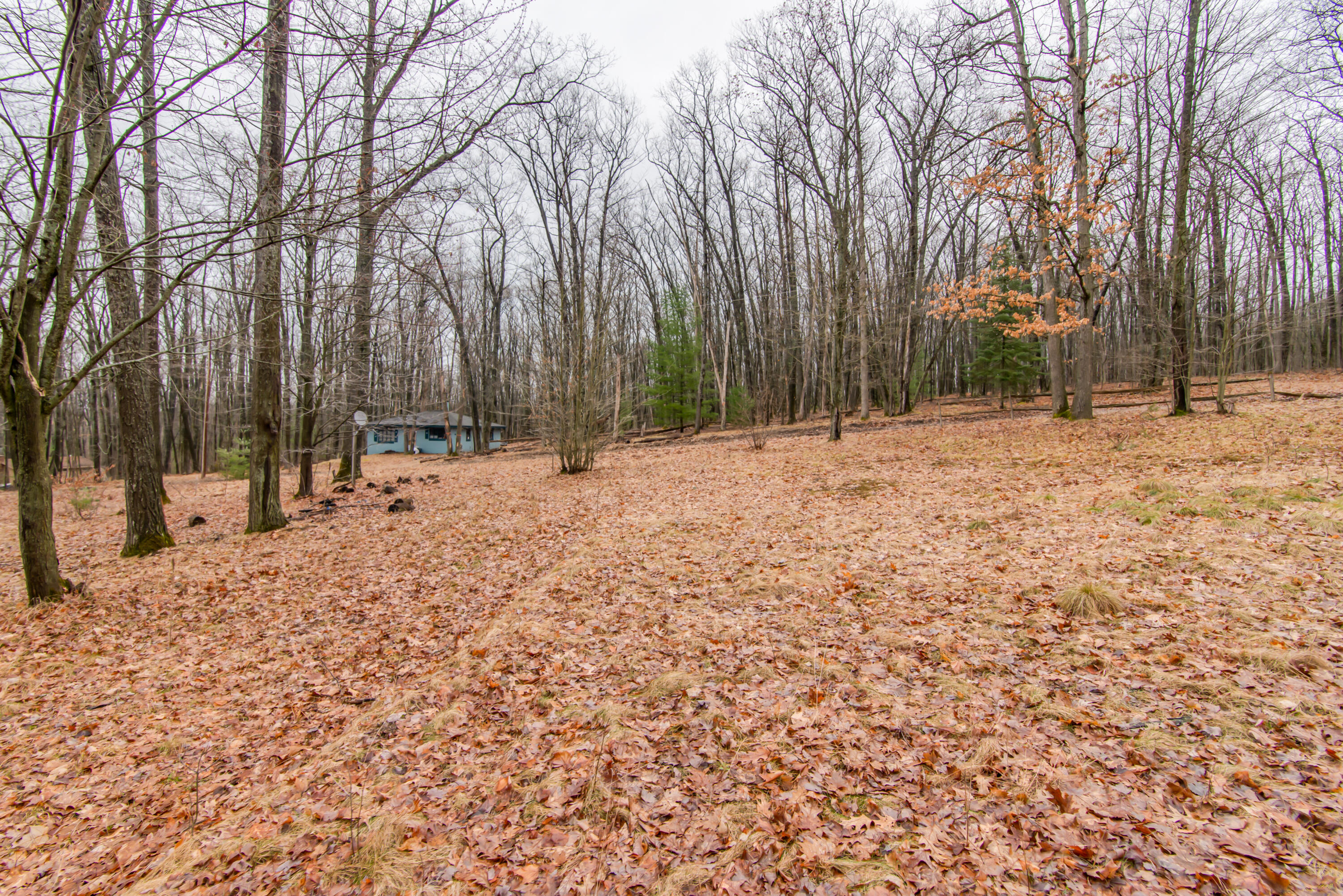 8780 N Loxley Road