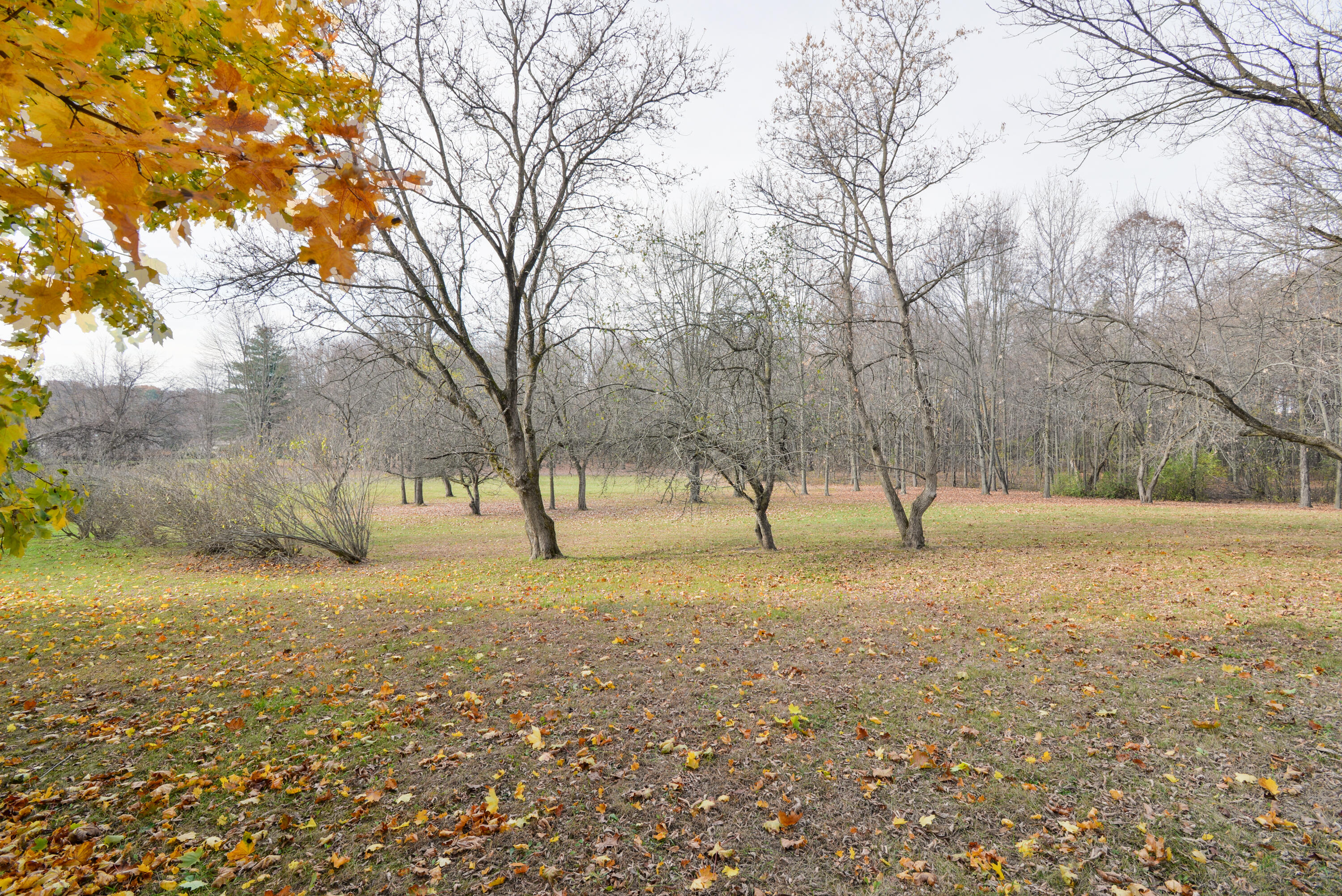 926 Sanders Road
