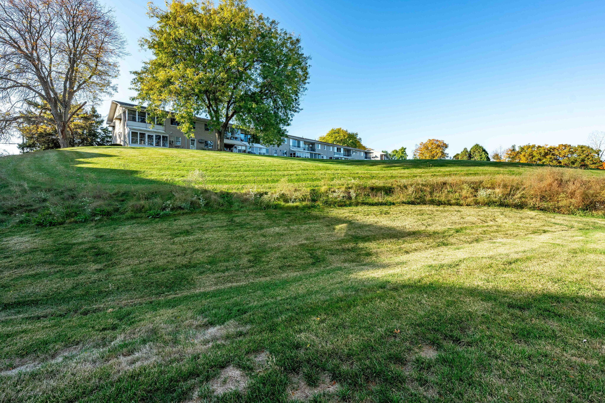 11306 Woodruff Lake Drive