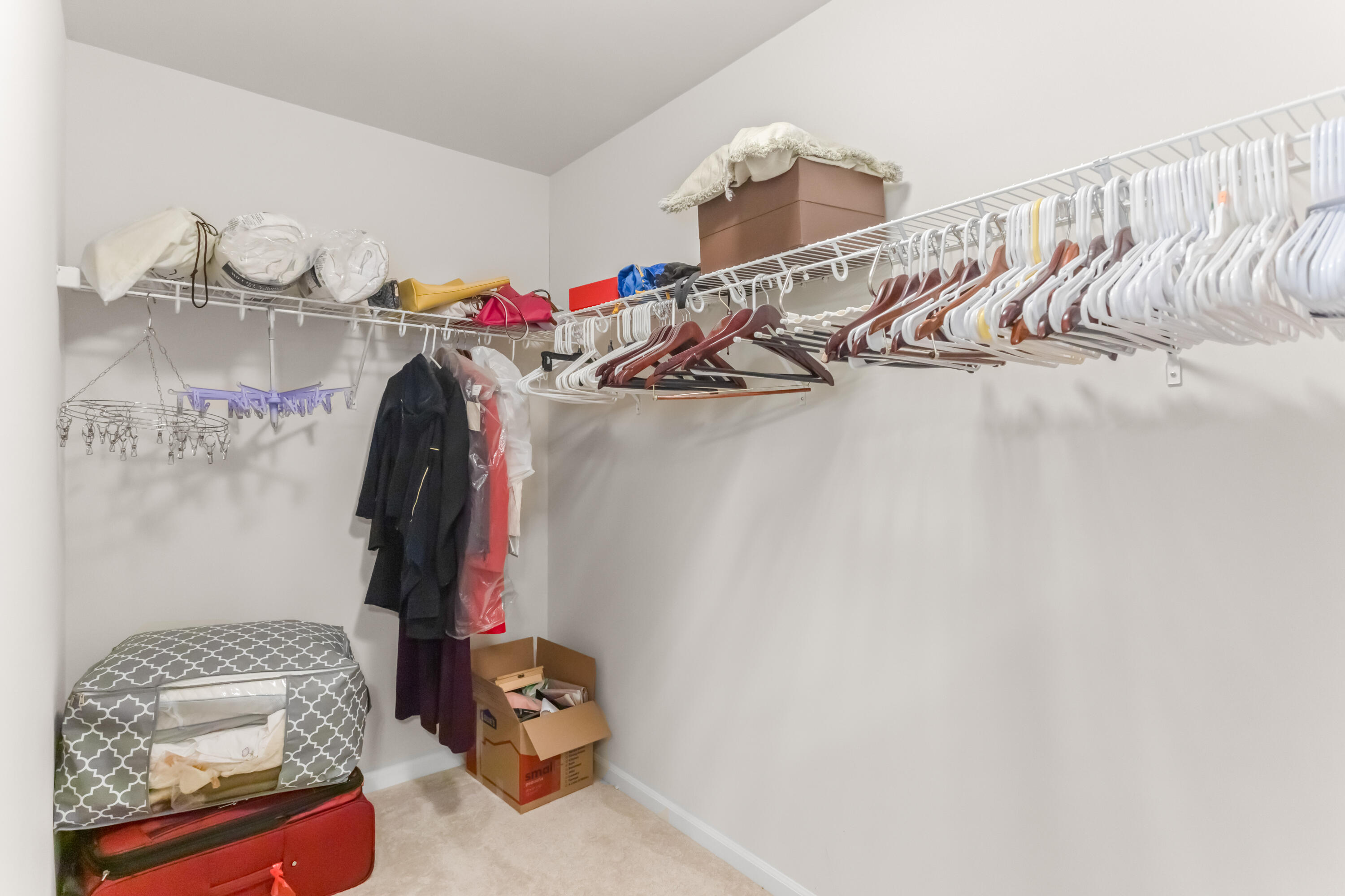 2825 Dillon Drive