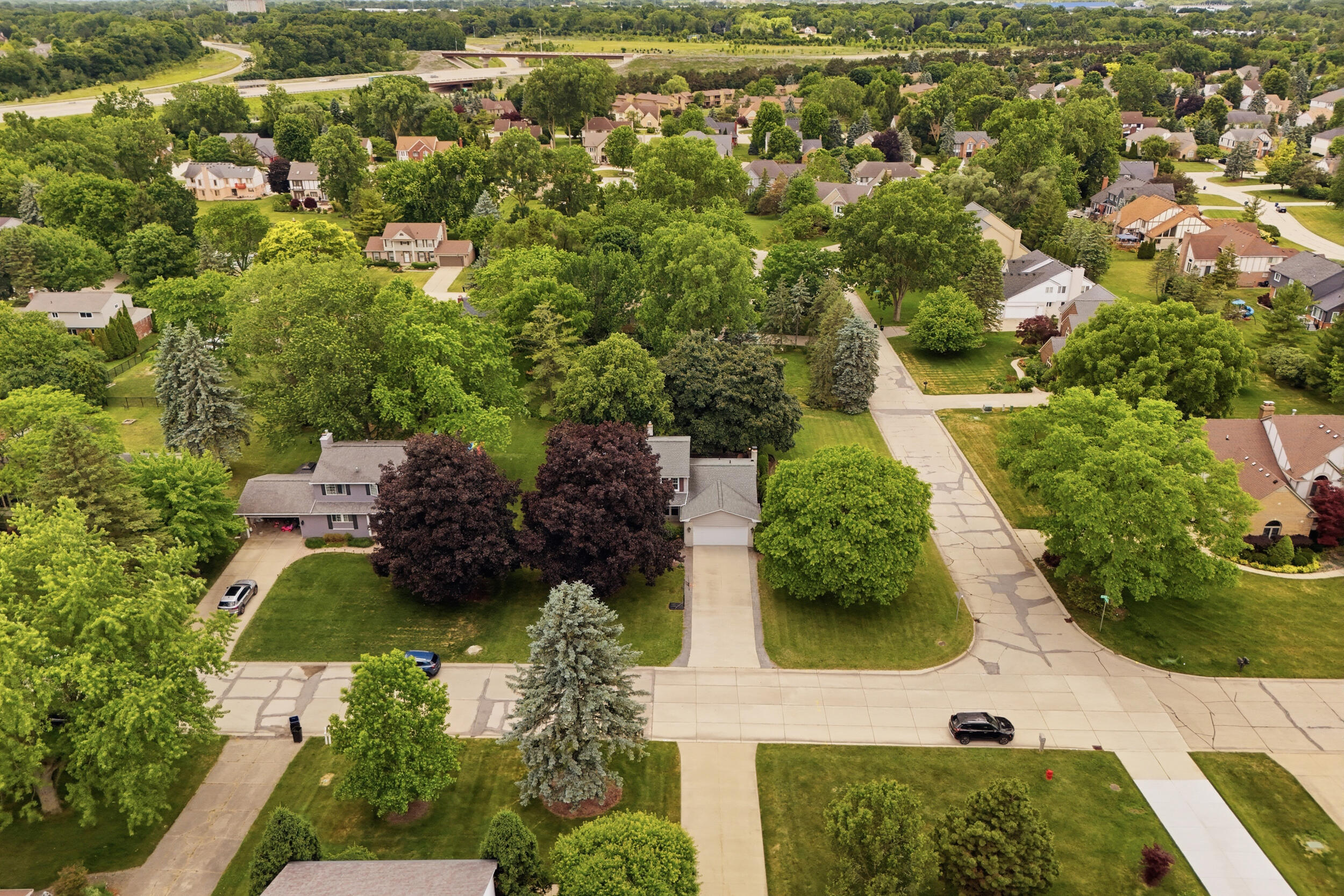 1810 Hickory Bark Lane