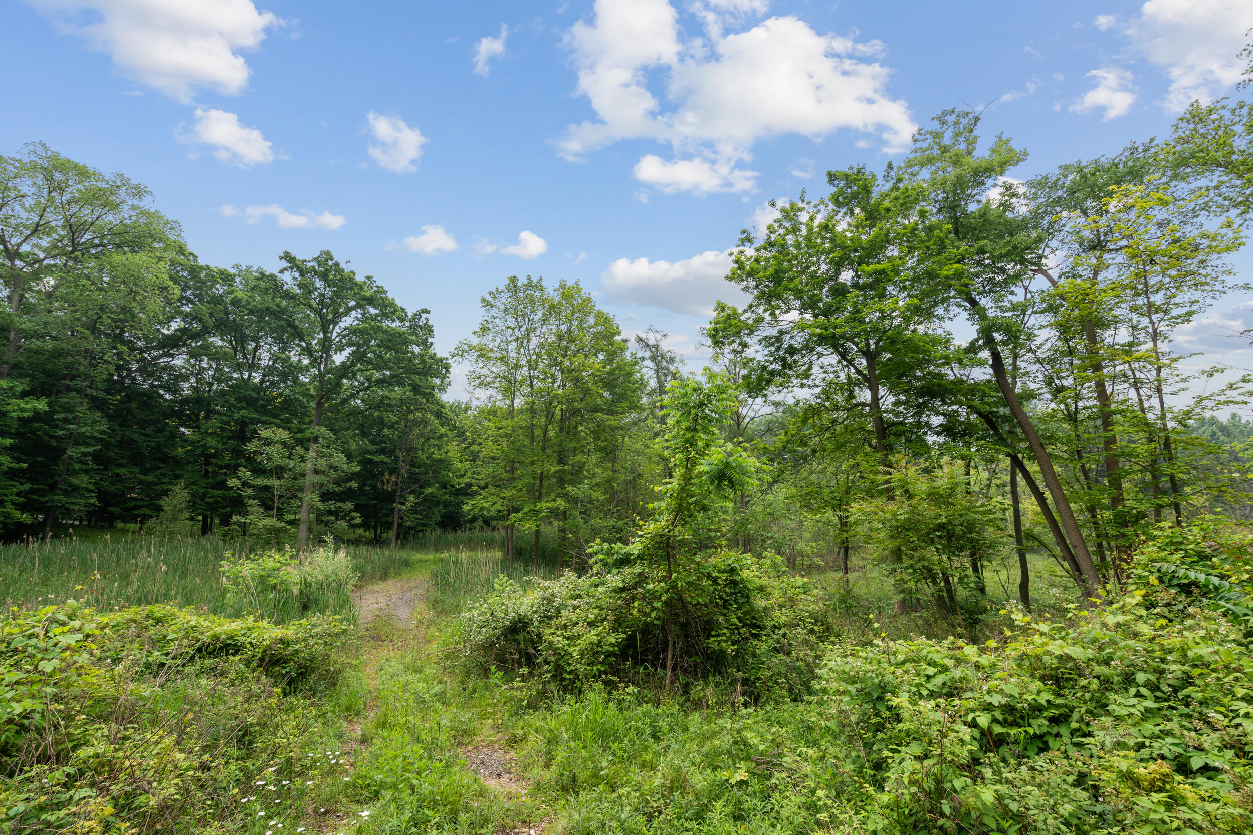 36300 Howard Road