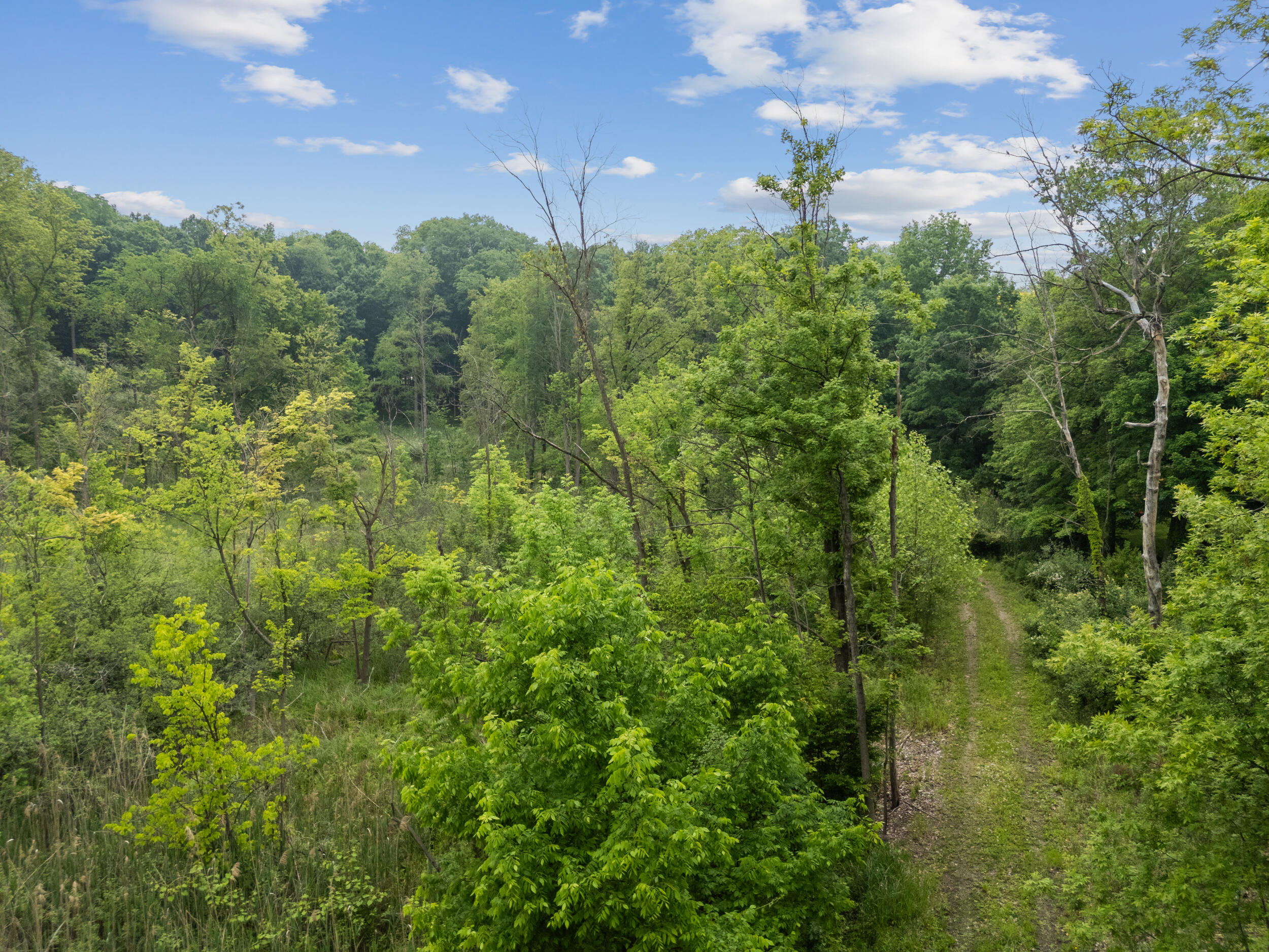 36300 Howard Road
