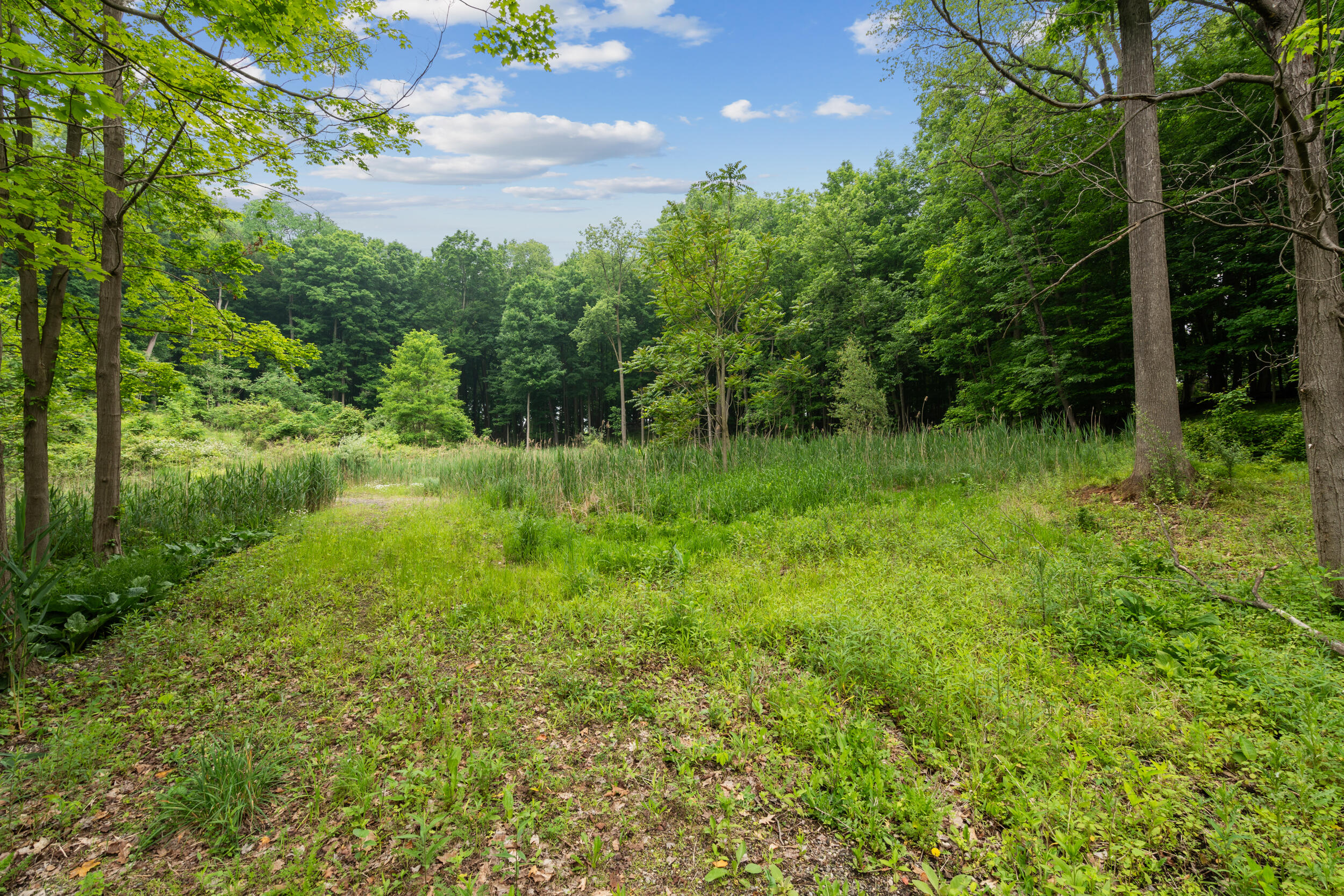 36300 Howard Road