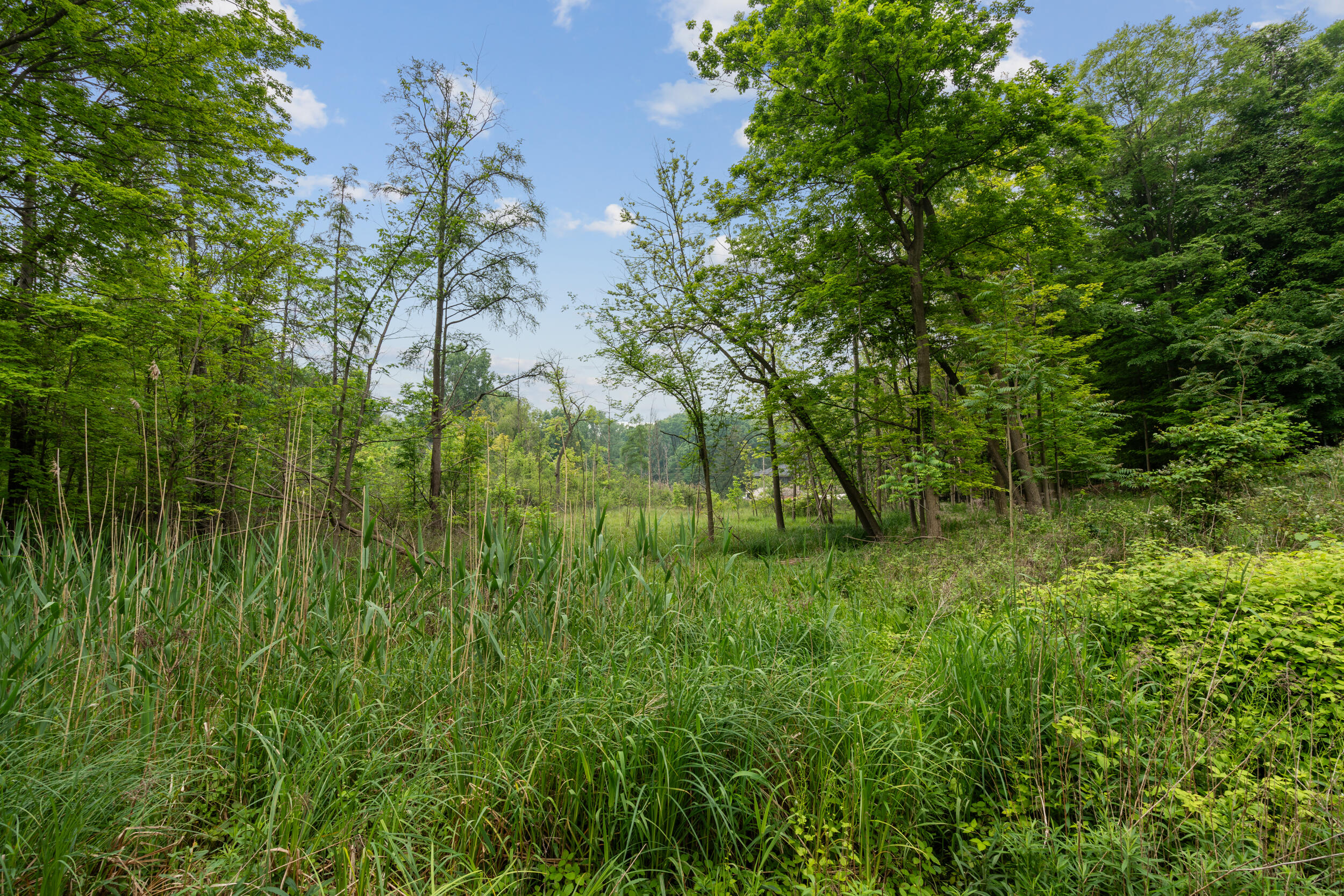 36300 Howard Road