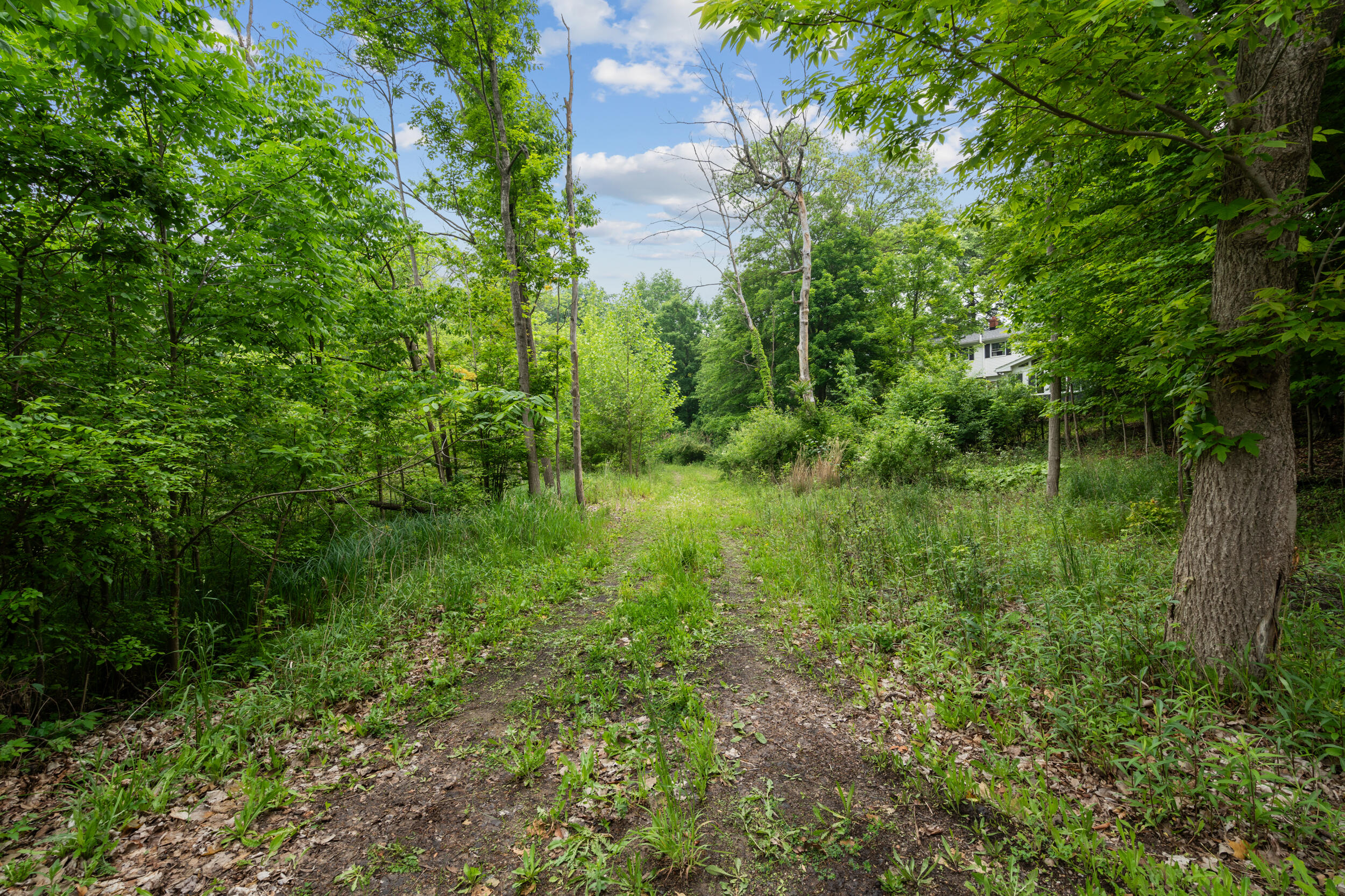 36300 Howard Road