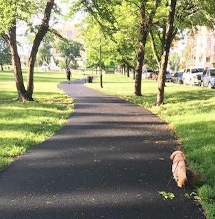 4555 Main Street Unit: 303