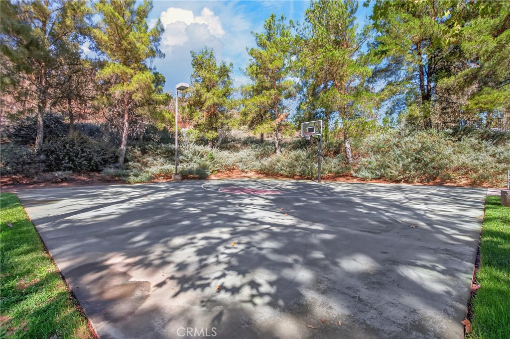 Outdoor basketball court shaded by trees, with a hoop and landscaped greenery.