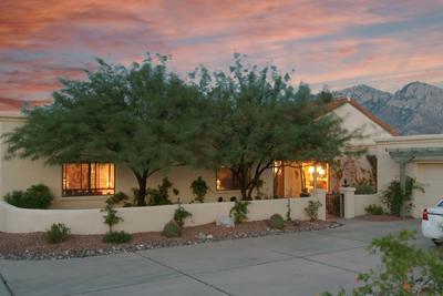 10751 N Pomegranate Drive