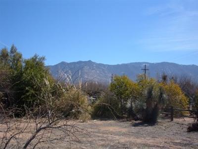 4030 E Songbird Lane