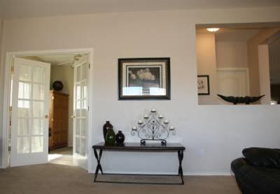 12834 N Yellow Orchid Drive