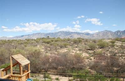 12834 N Yellow Orchid Drive